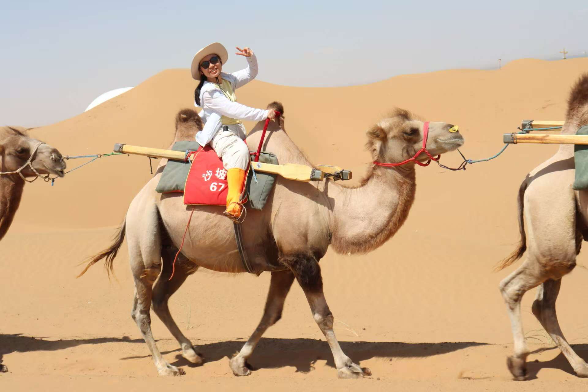 文件:微信图片 20251018233634 56 77.jpg